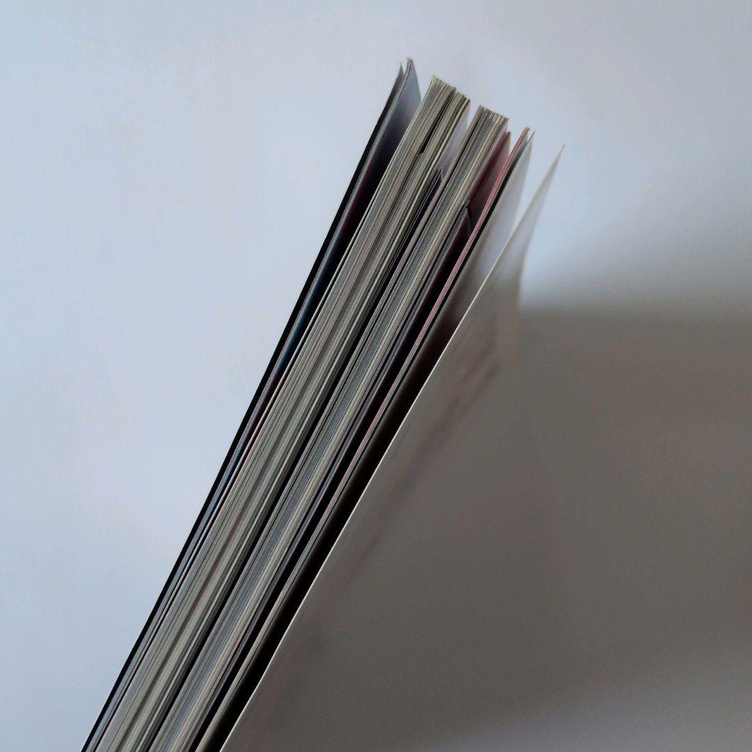 LouisVuitton ルイヴィトン クリアファイル モノグラムチェリー