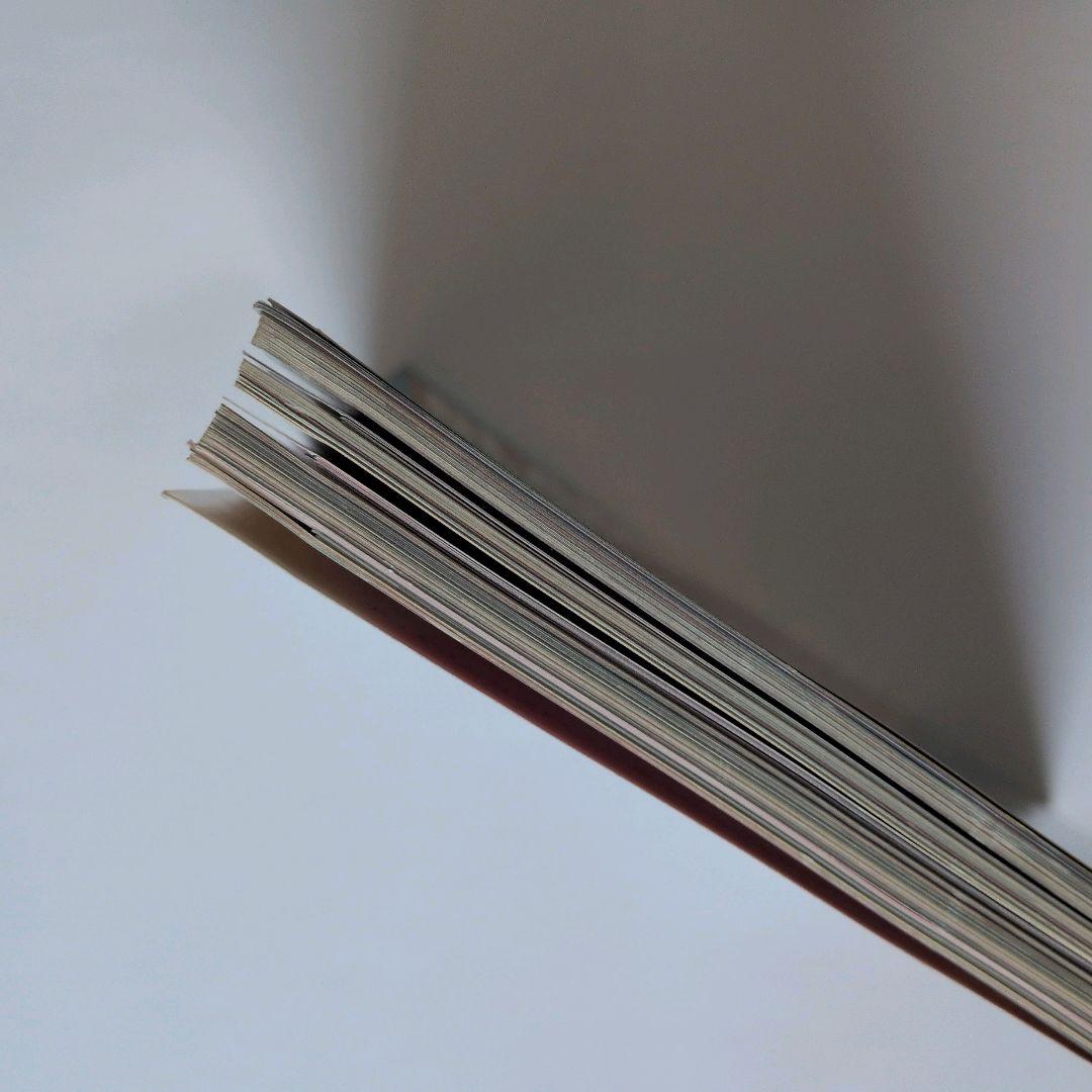 LouisVuitton ルイヴィトン クリアファイル モノグラムチェリー