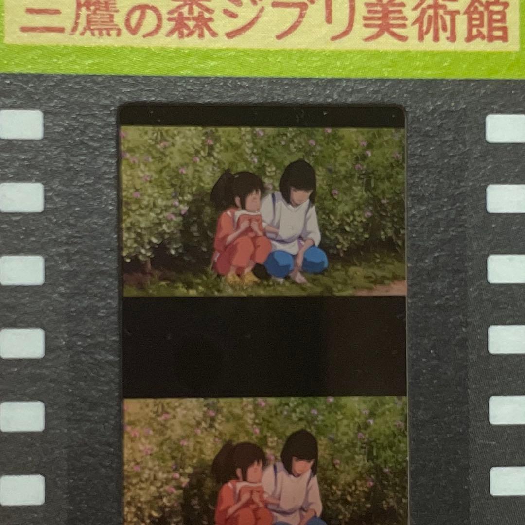 レア　宮崎駿　ジブリ美術館　千と千尋の神隠し　ハク　フィルム　チケット