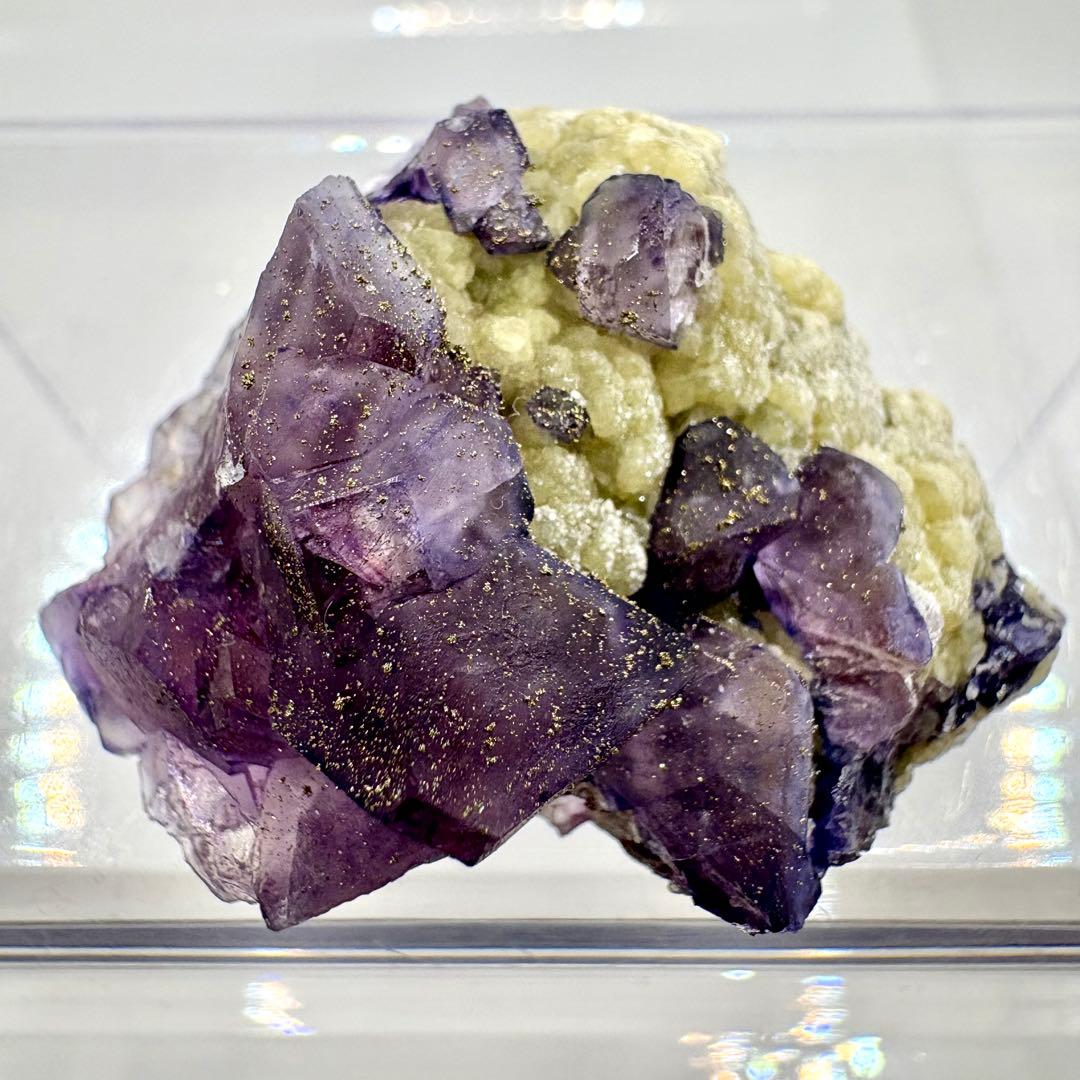 544 中国 内モンゴル産 フローライト&パイライト