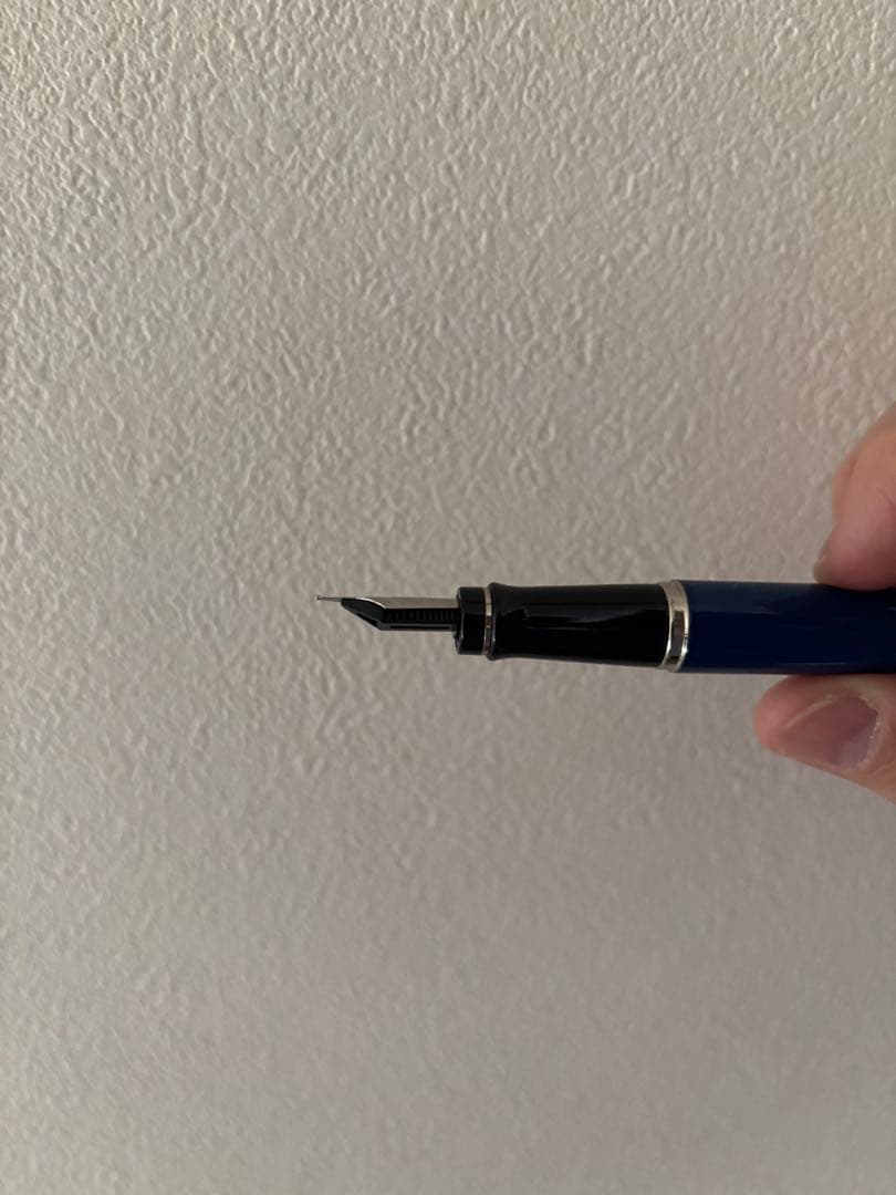 期間限定　WATERMAN ウォーターマン エキスパート デラックス 万年筆