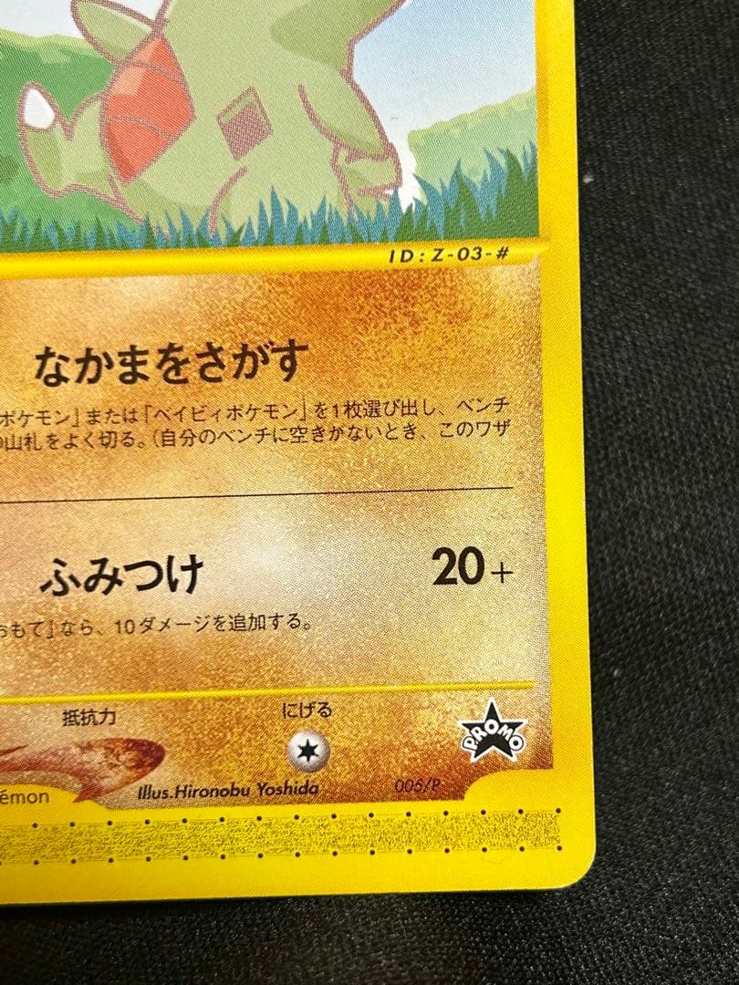 ポケカ★ピカチュウ ヨーギラスPROMO★プロモカード 004/P 005/P