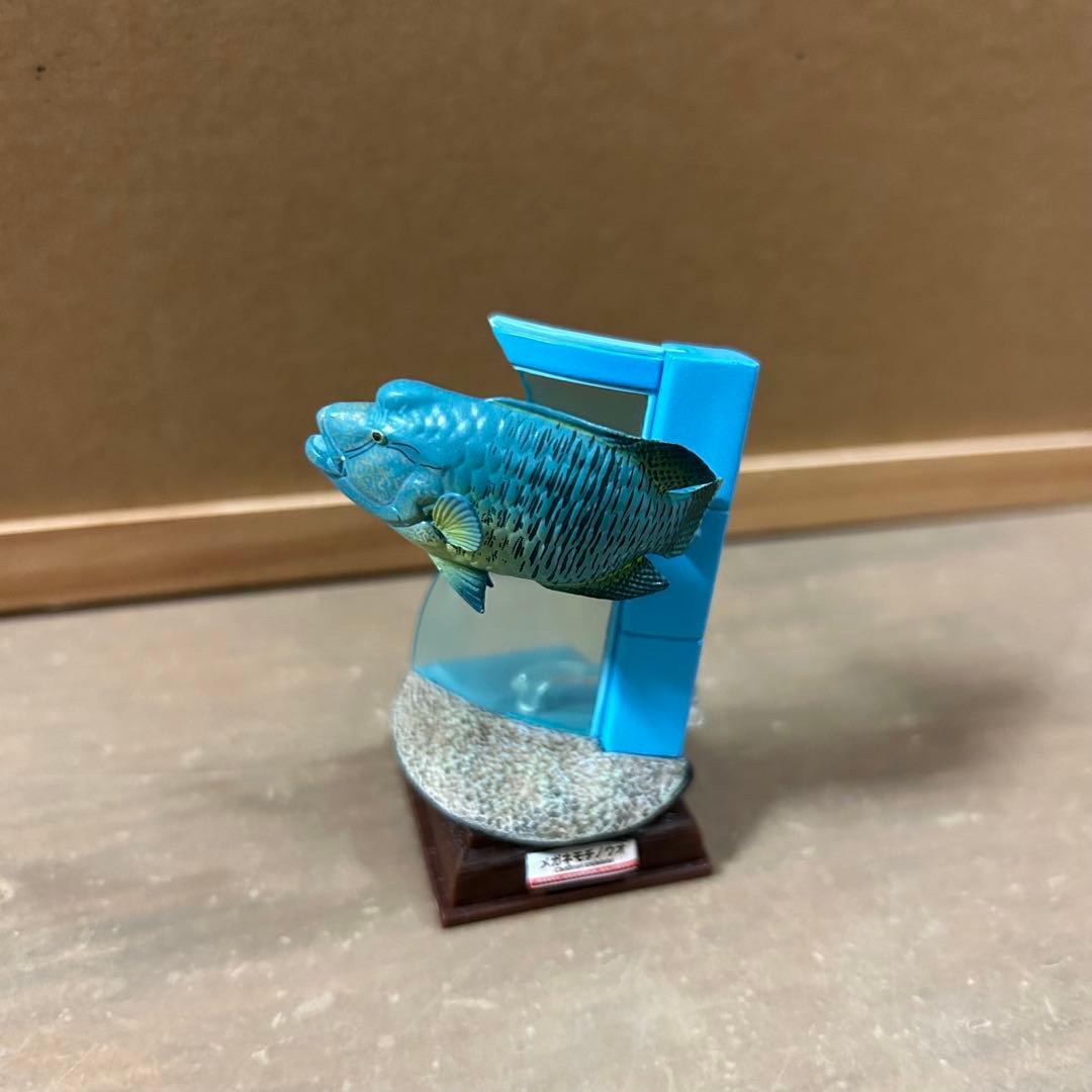 海遊館ミュージアム フィギュア まとめ売り ネイチャーテクニカラー 海洋堂 奇譚