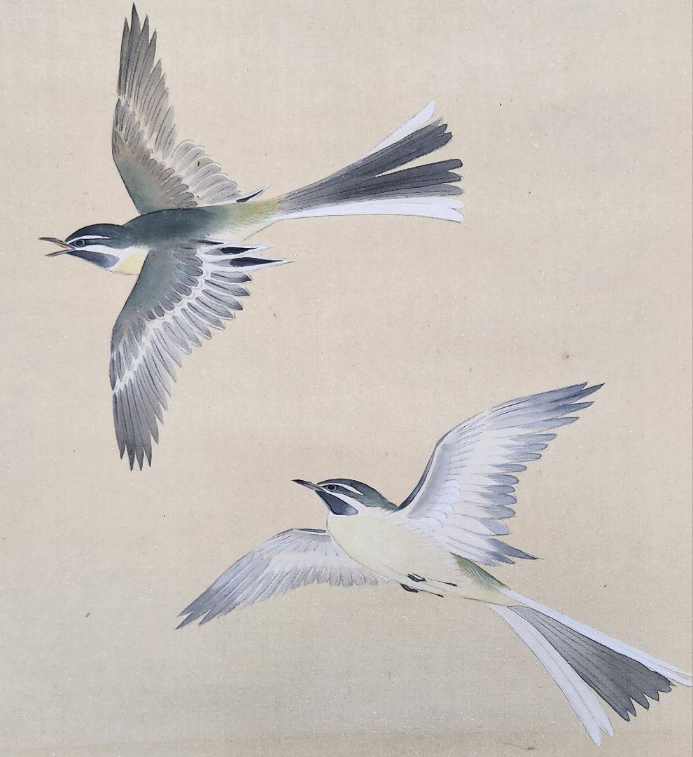 【菖蒲に鶺鴒図】吉田秋光 2682 しょうぶにセキレイ 掛け軸 肉筆 端午節句