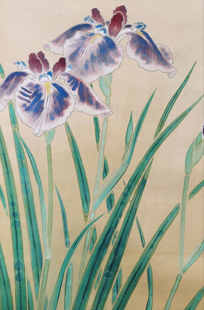 【菖蒲に鶺鴒図】吉田秋光 2682 しょうぶにセキレイ 掛け軸 肉筆 端午節句