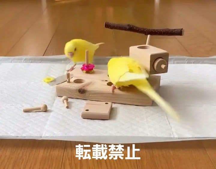 u70　⭐　フォージングトイセット⭐　輪投げ　バードトイ　文鳥　インコ