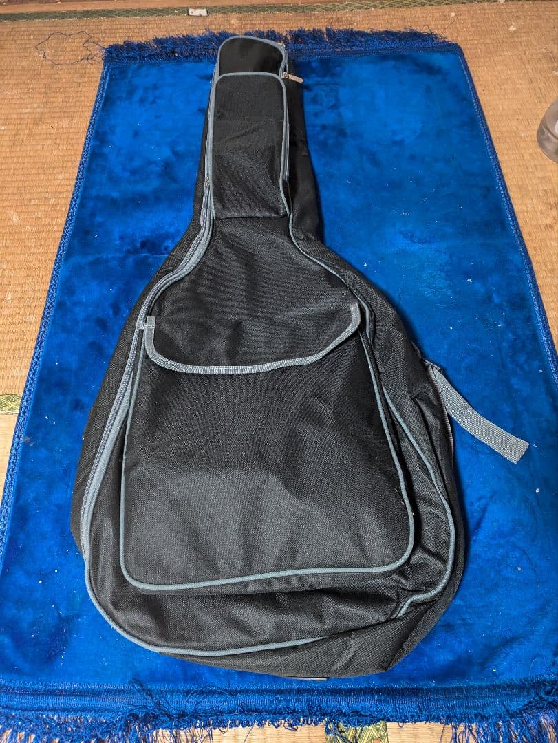 ギター Epiphone Joan Jett Olympic Special