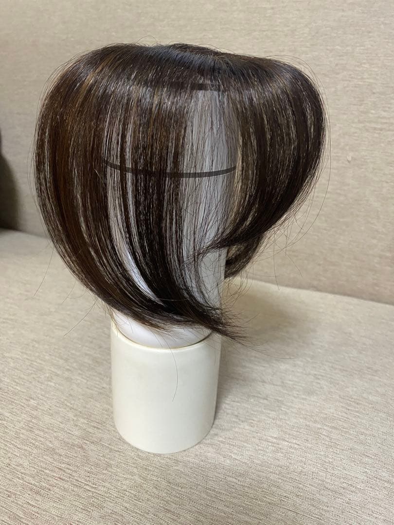 NAO-ART ピンのいらない簡単ウィッグ ナチュラルブラウン ポシュレ