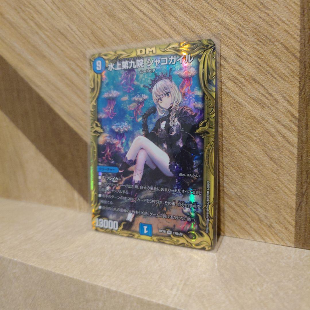 【店舗美品購入品】シャコガイル　B