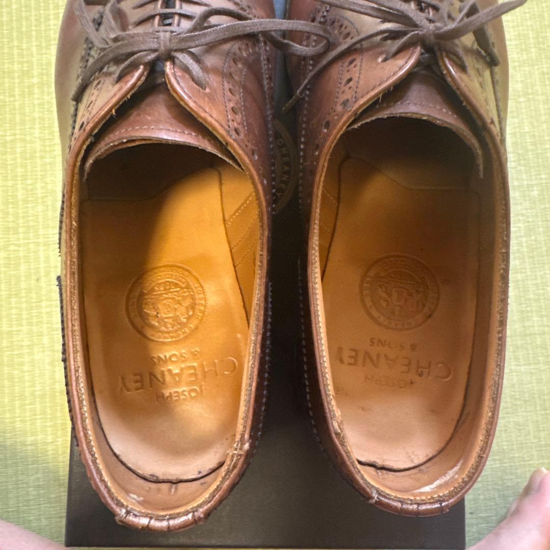 チーニー　ウィルフレッド　UK8 F