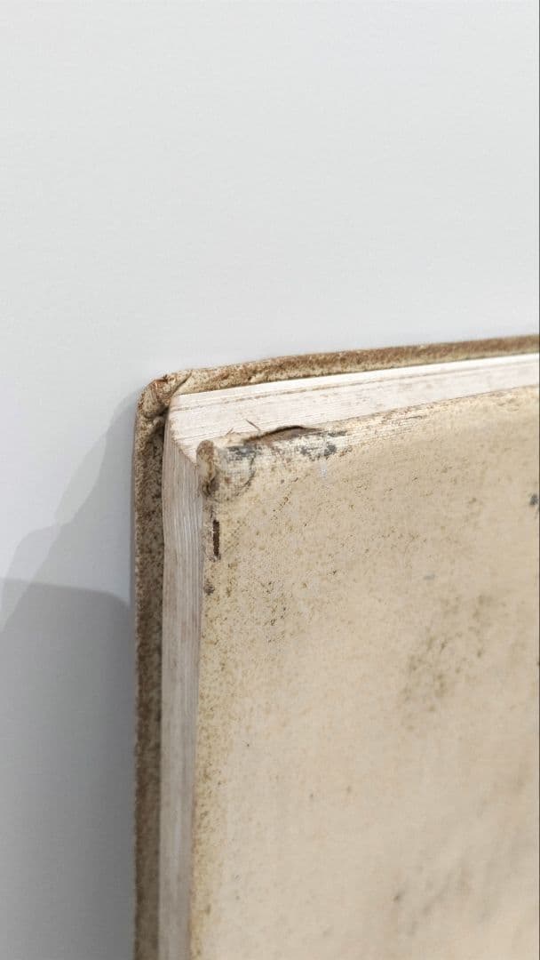 ヴィンテージ写真集『人体形態とその美　裸体研究のためのモデル』1907年発行