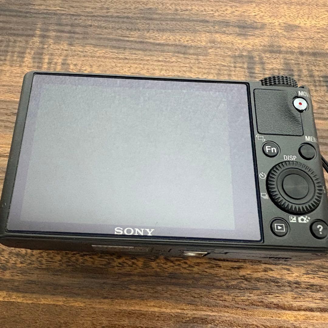 【美品✨】SONY Cyber-shot DSC-RX100 コンデジ 作例あり