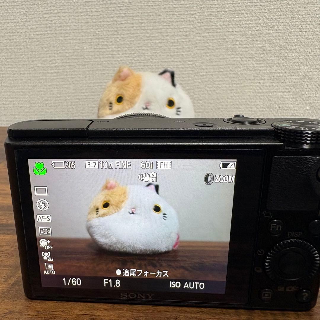 【美品✨】SONY Cyber-shot DSC-RX100 コンデジ 作例あり