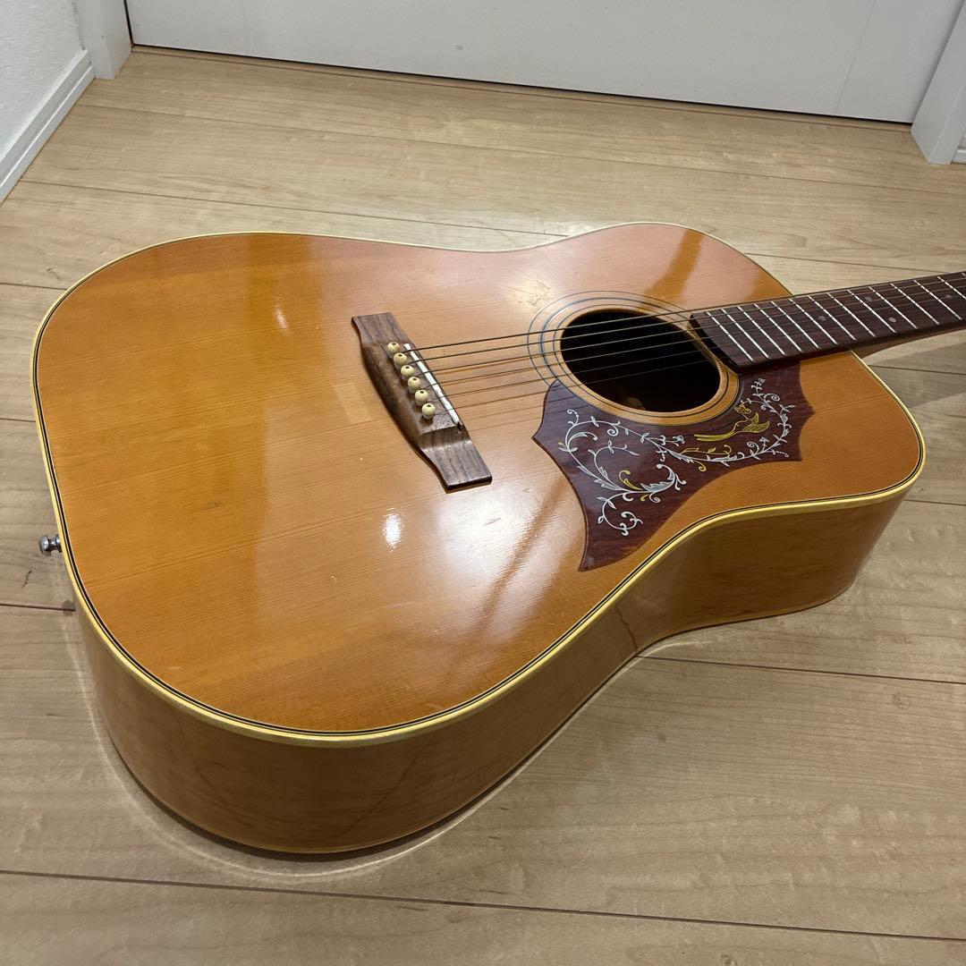 激レア　ZENON roje 全音　アコースティックギター　ハミングバードタイプ