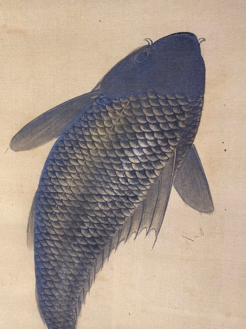 骨董　掛け軸　「鯉」江戸期頃