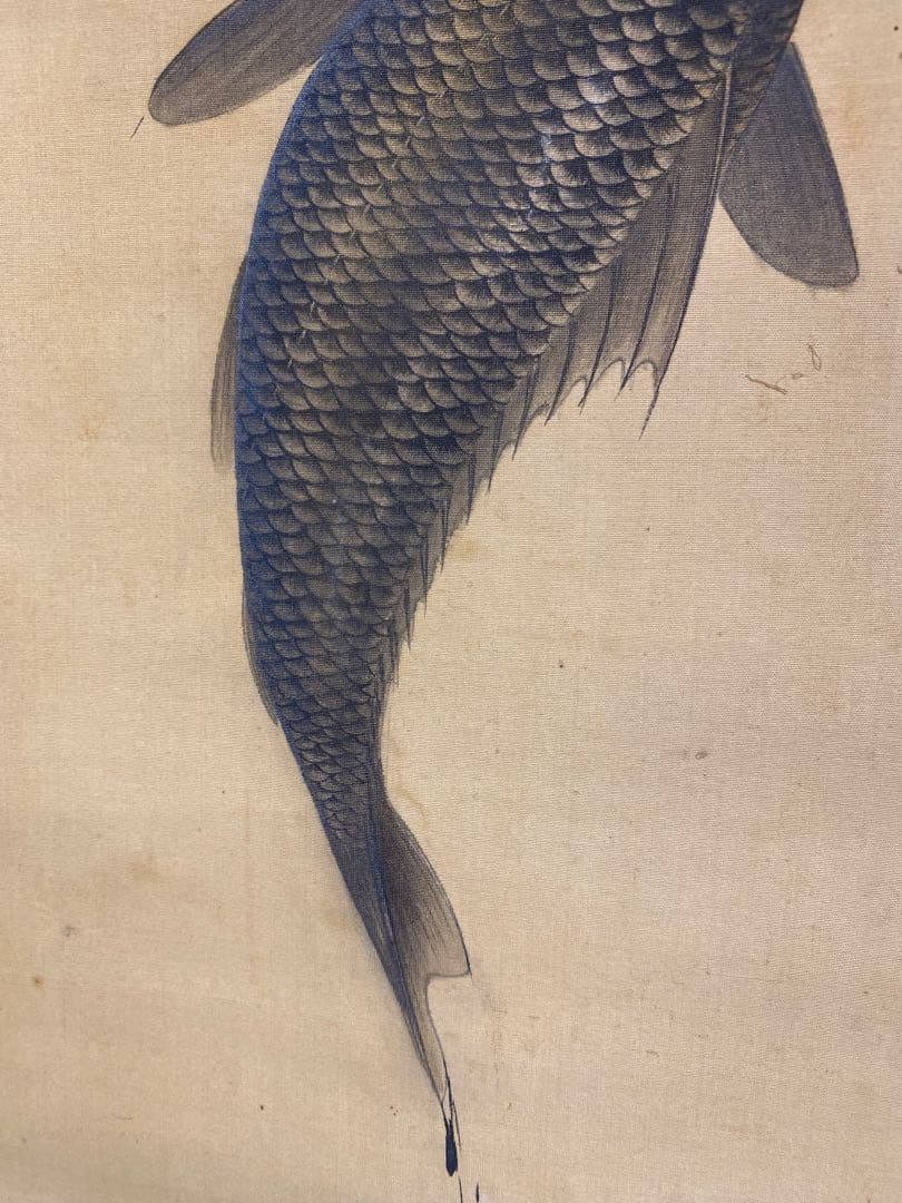 骨董　掛け軸　「鯉」江戸期頃