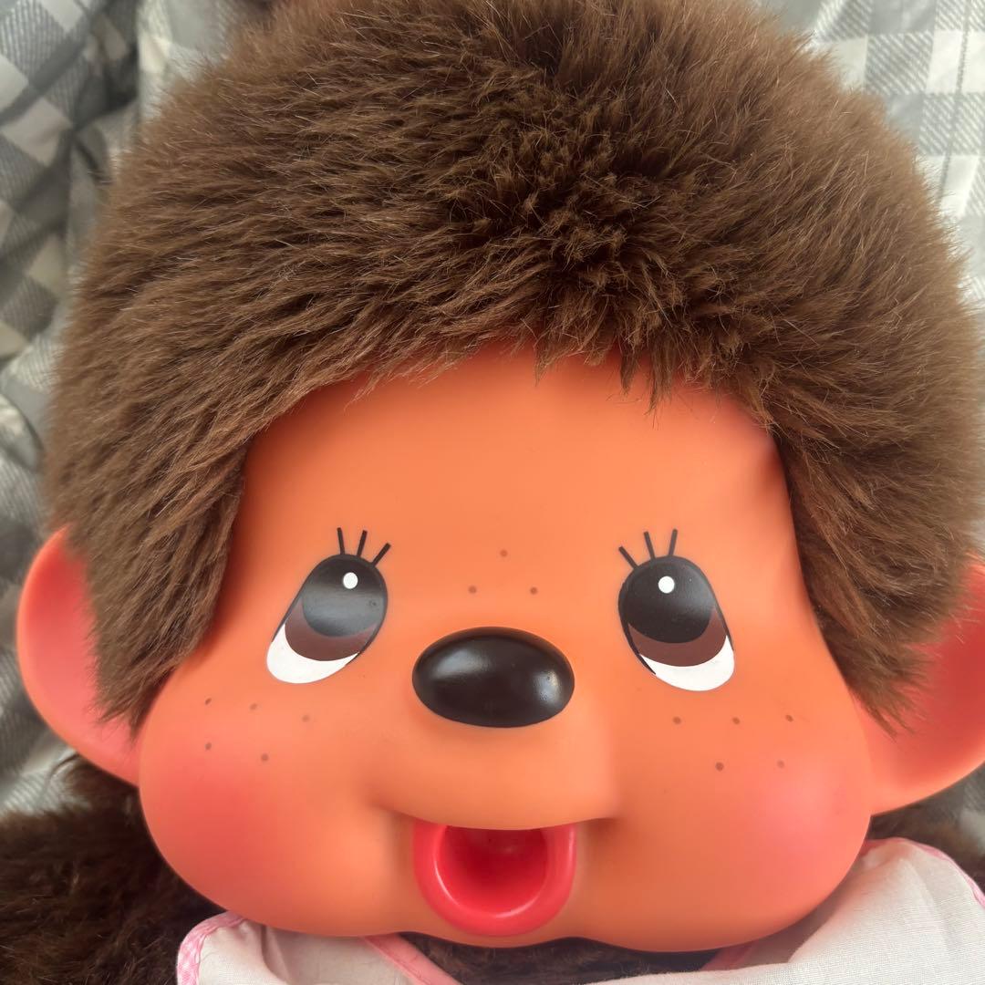 希少 モンチッチ 女の子 2L