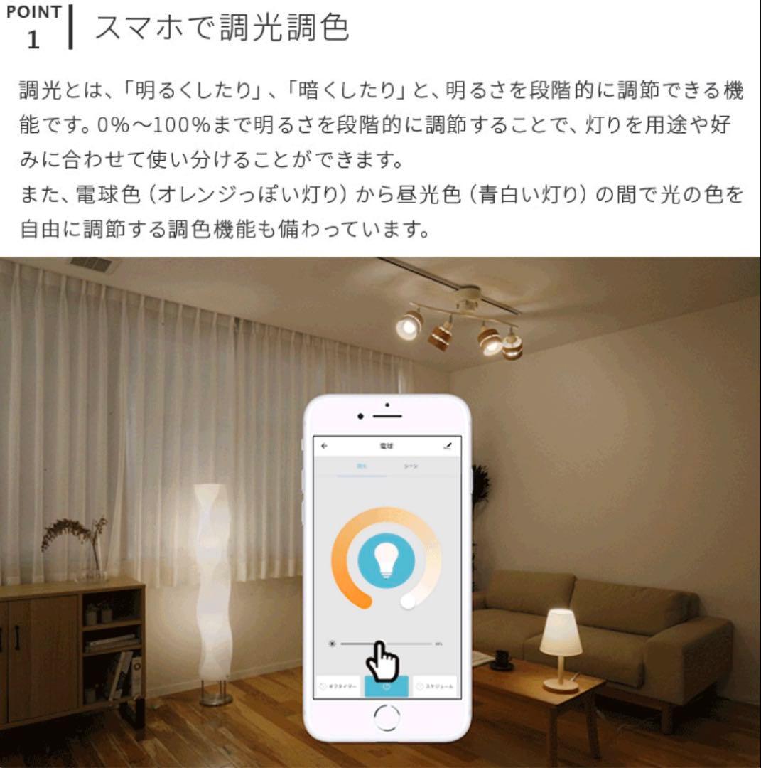 ブラック・ブラウンシーリングライト ＋ TOLIGO LEDスマート電球 E26