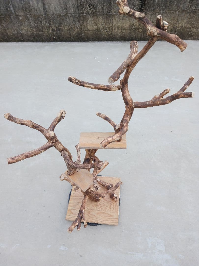 バードアスレチック バードアスレチックジム 止まり木、小鳥、流木(焼き入れ)