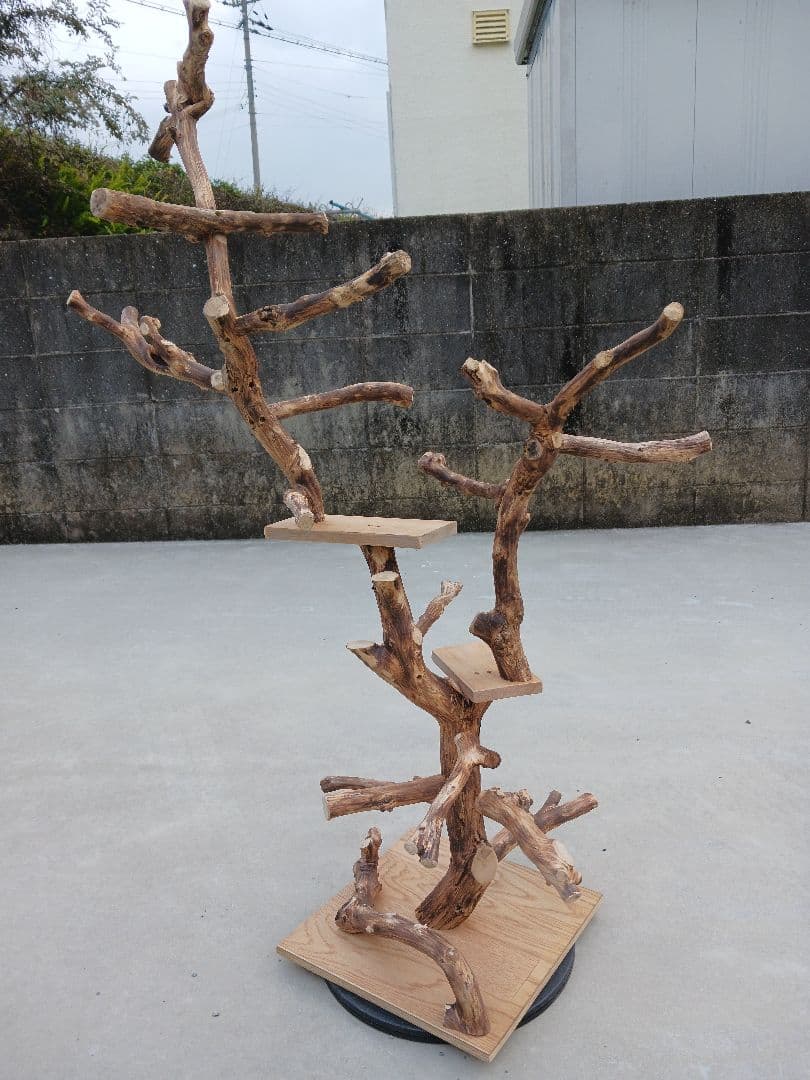 バードアスレチック バードアスレチックジム 止まり木、小鳥、流木(焼き入れ)