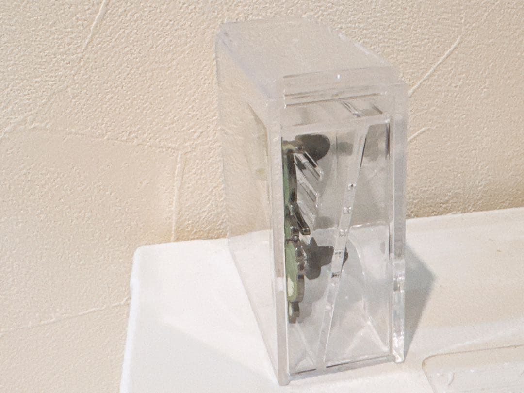 日本館限定　ピンバッジ　万博　カサノリ　トゲイカダモ　ケース付き　藻キティ　藻類