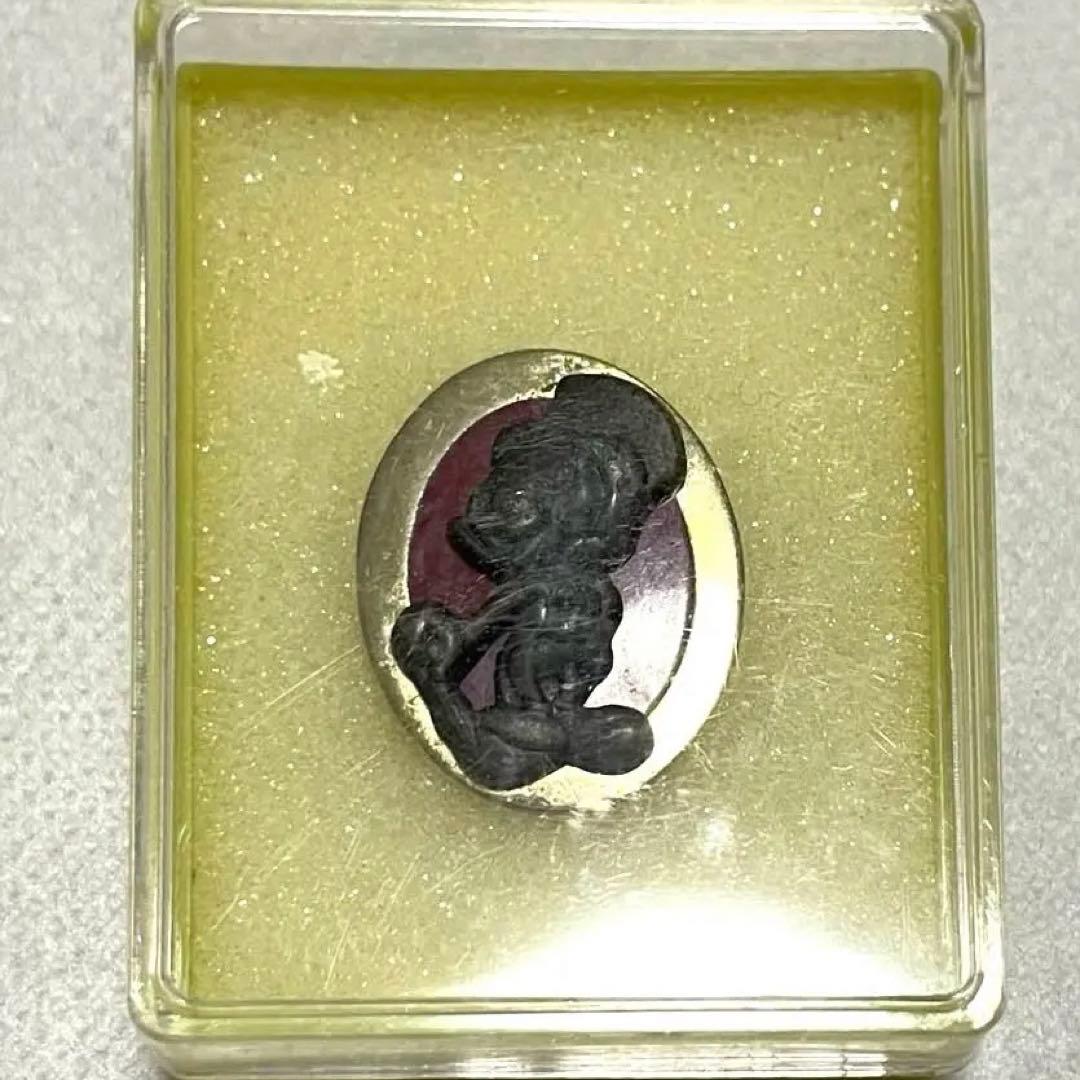 東京ディズニーリゾートトレーナーキャスト限定トレーナーピン　ジミニー・クリケット