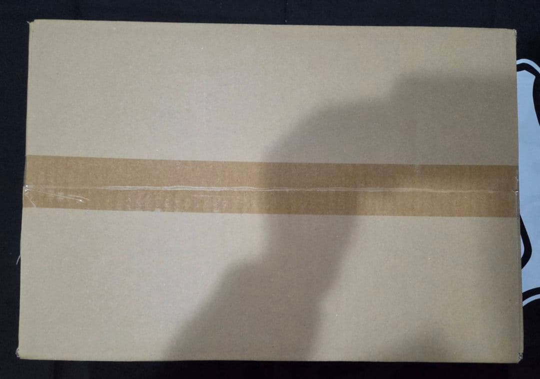 ヴァイス　勝利の女神:NIKKE　未開封　1カートン