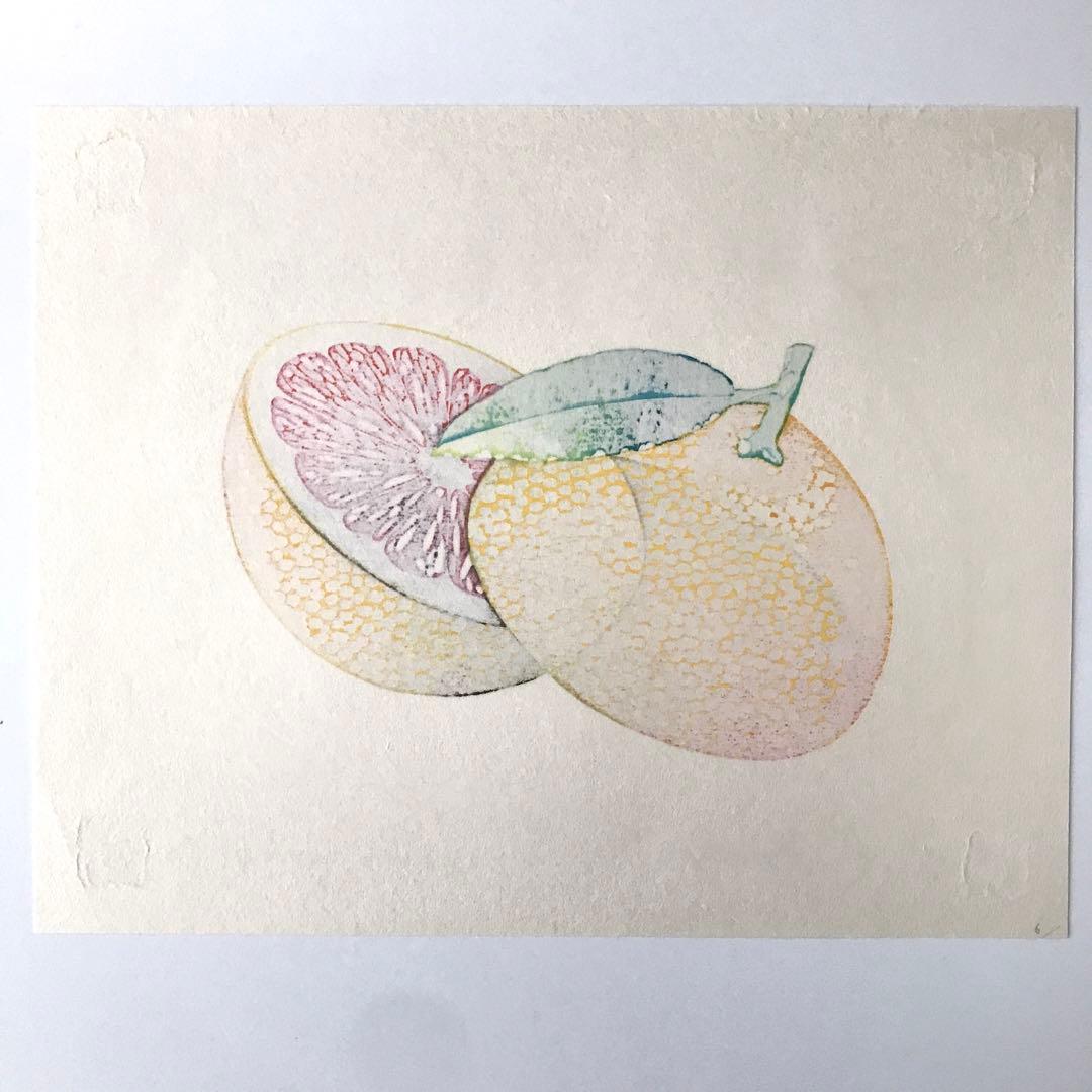 現代浮世絵 宮本承司 グレープフルーツ 水彩木版画