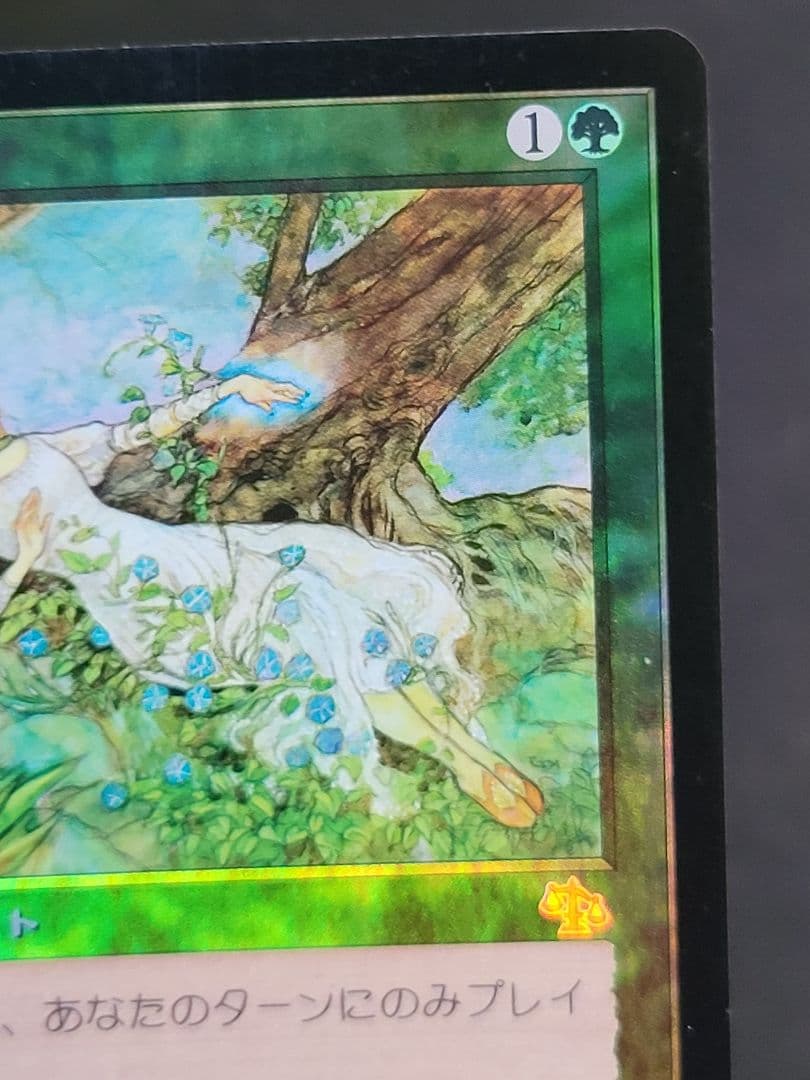 MTG　種蒔き時/seedtime　JUD 日本語版 foil