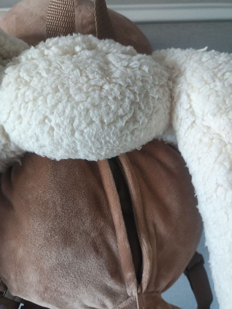 ボタンのイーブイリュック