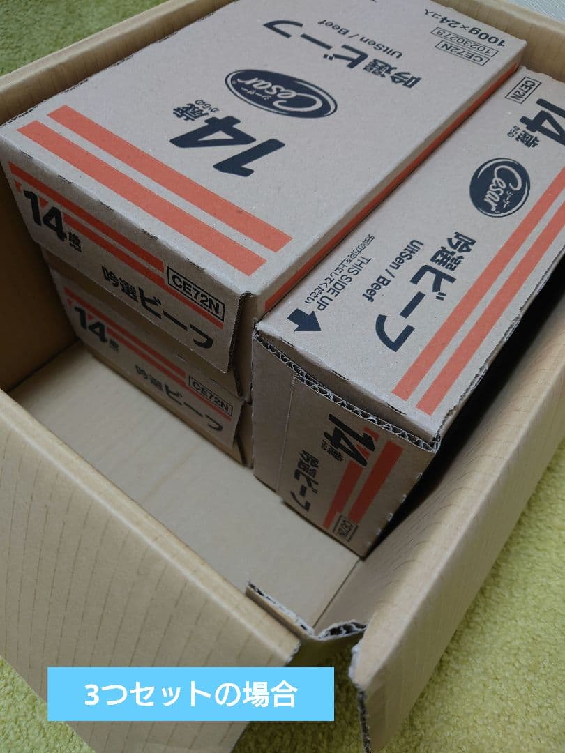 3兄弟　シーザー 14歳からの吟選ビーフ 100gｘ24コ入 3つセット