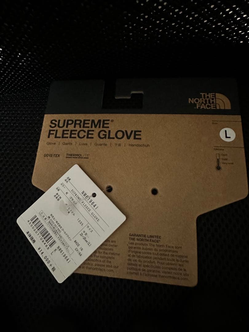 The North Face Supreme Fleece Glove ブラック