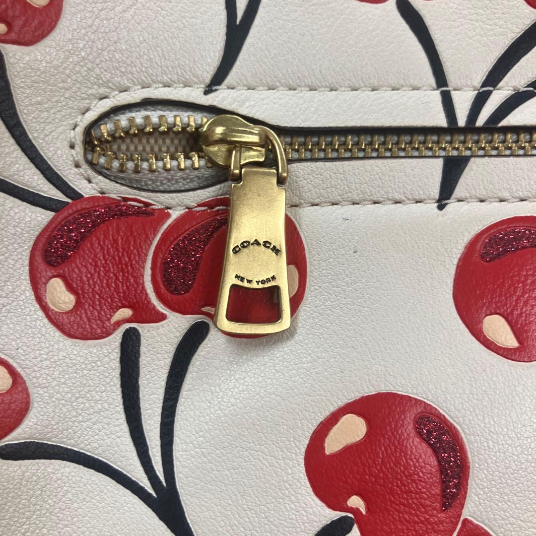 E1-1-01 COACH チェリー柄 ショルダーバッグ