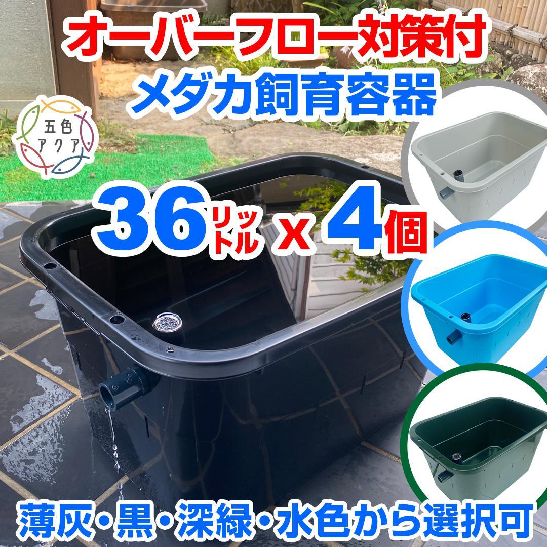 【新仕様】メダカ飼育ケース 36㍑x4個（4色あり）オーバーフロー対策済 金魚