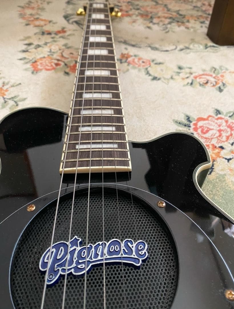 Pignose ピグノーズ PGG-259