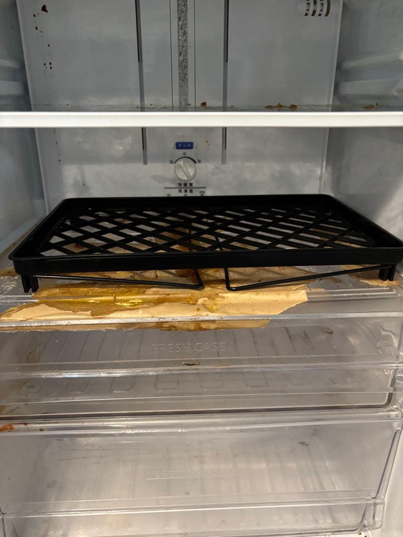 シャープ　プラズマクラスター　冷蔵庫