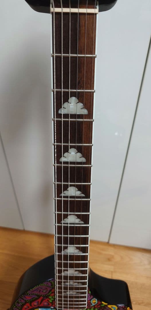 【19日迄値引】FERNANDES ZO-3 hide サイケ ハードケース付き