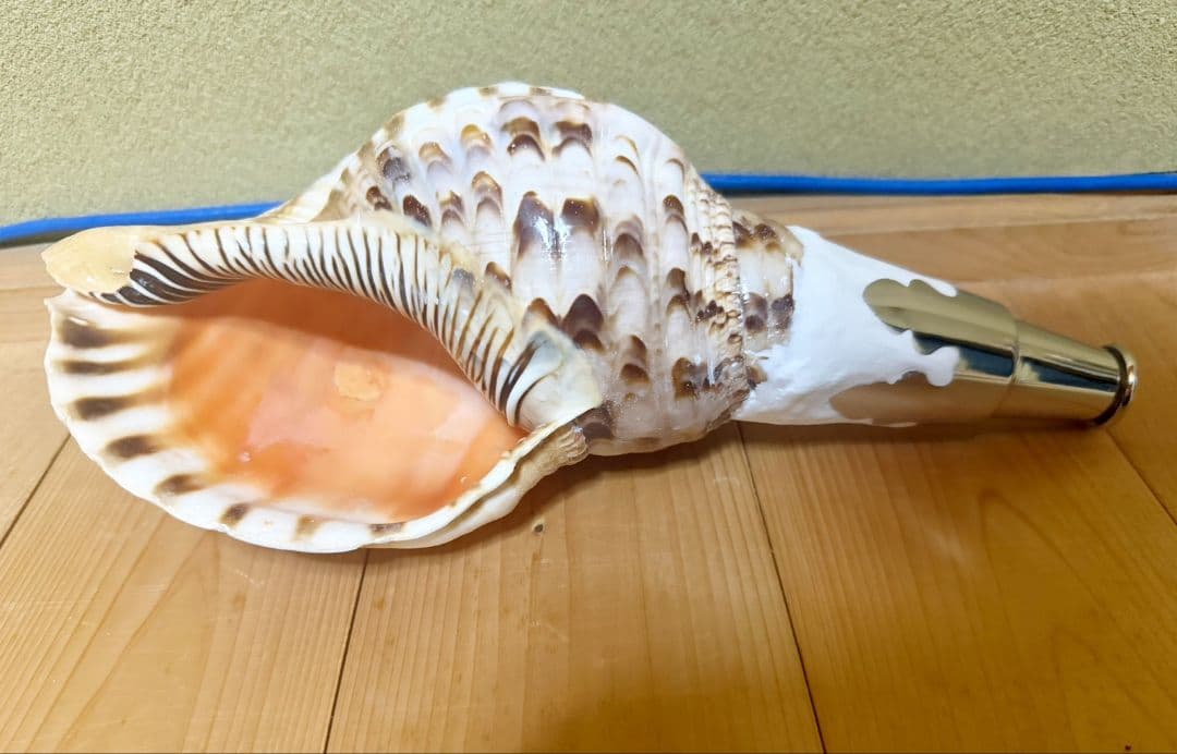 修験道法螺貝　山伏　密教　ほら貝　ホラガイ