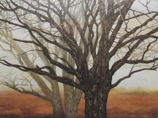 三輪晃久、【樹響】、希少な額装用画集より、新品額装付、状態良好