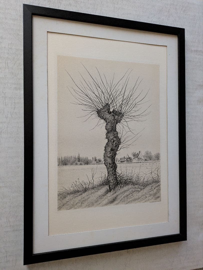追加出品 Ｔt長谷川潔500部限定作品　「一樹・ニレの木」美品