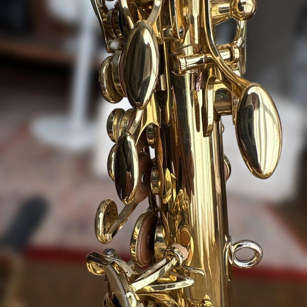 ヤナギサワ　カーブドソプラノ　SC-WO10