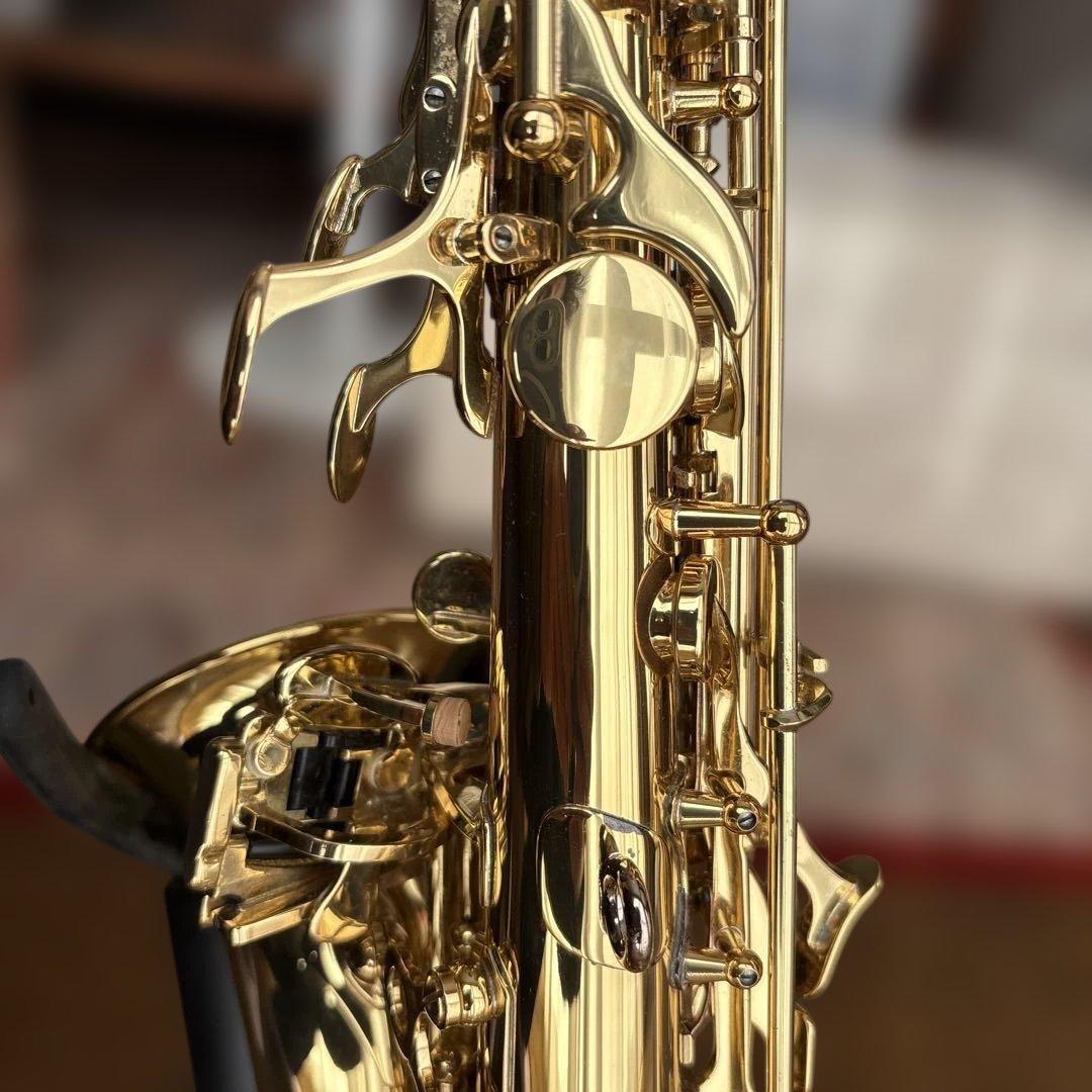 ヤナギサワ　カーブドソプラノ　SC-WO10