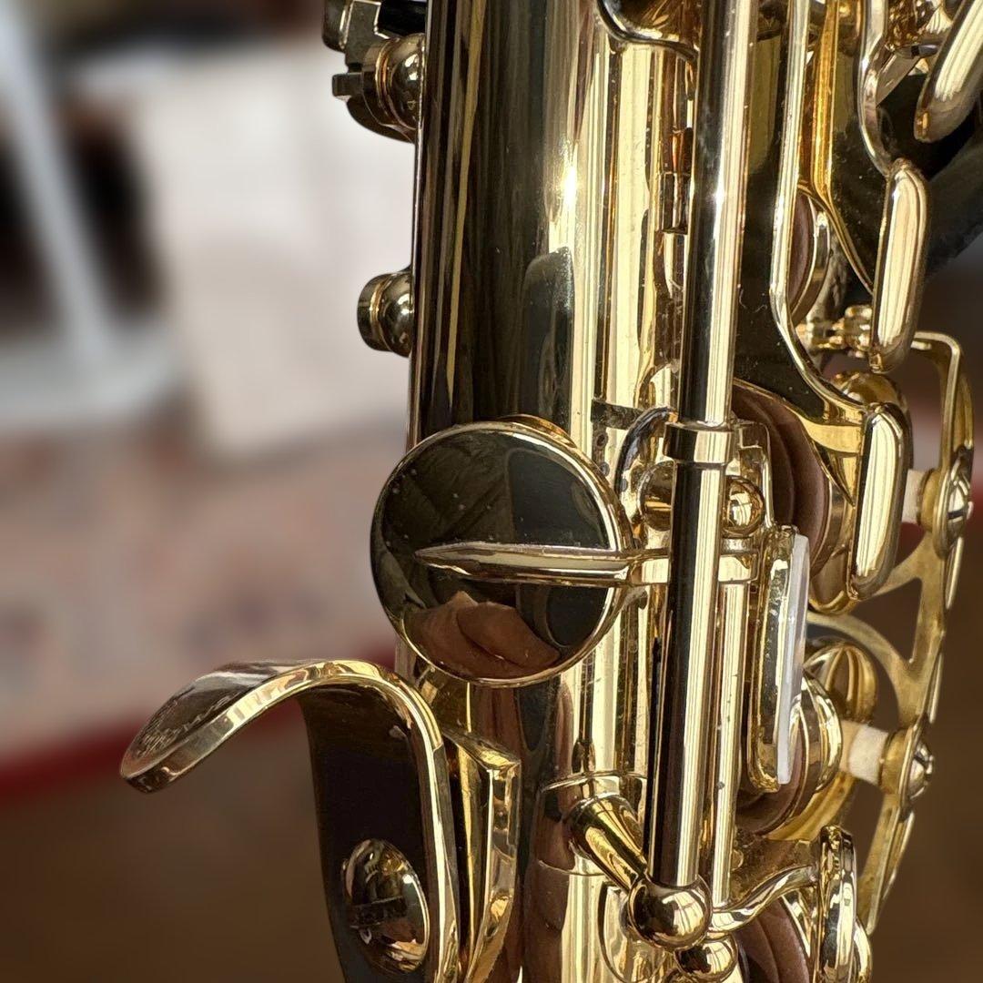 ヤナギサワ　カーブドソプラノ　SC-WO10