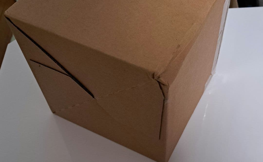 ポケモンキッズ カロススペシャル編【プレミアムバンダイ限定】