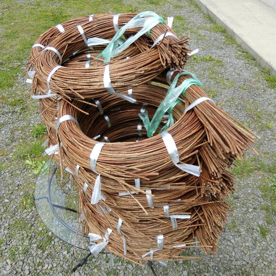 黄色いくまさん　青森岩木山採取　あけび蔓　150cm～ 15kg　2