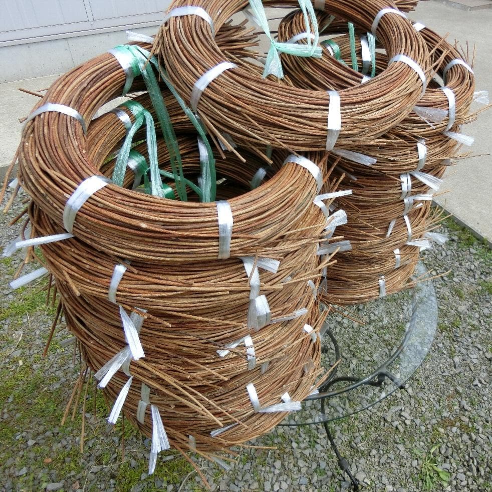 黄色いくまさん　青森岩木山採取　あけび蔓　150cm～ 15kg　2