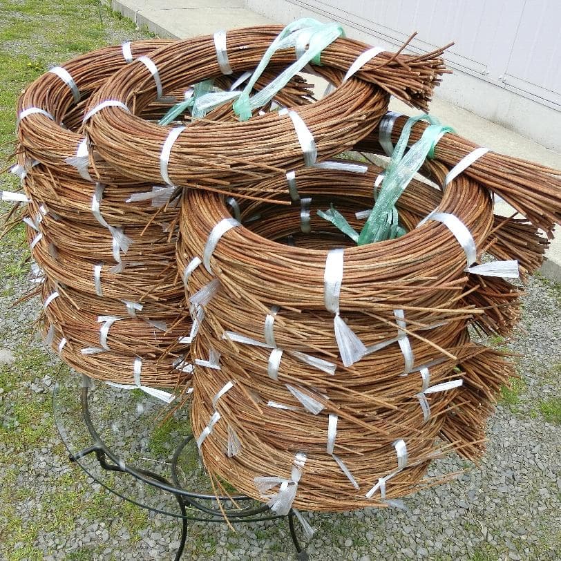 黄色いくまさん　青森岩木山採取　あけび蔓　150cm～ 15kg　2