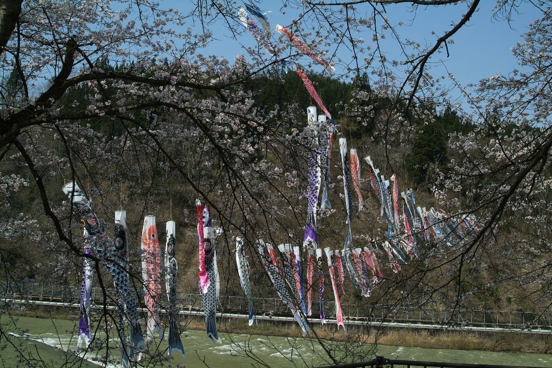 【値下げ】★美品SIGMA★15-30mm D EX IF レンズ /ニコンF