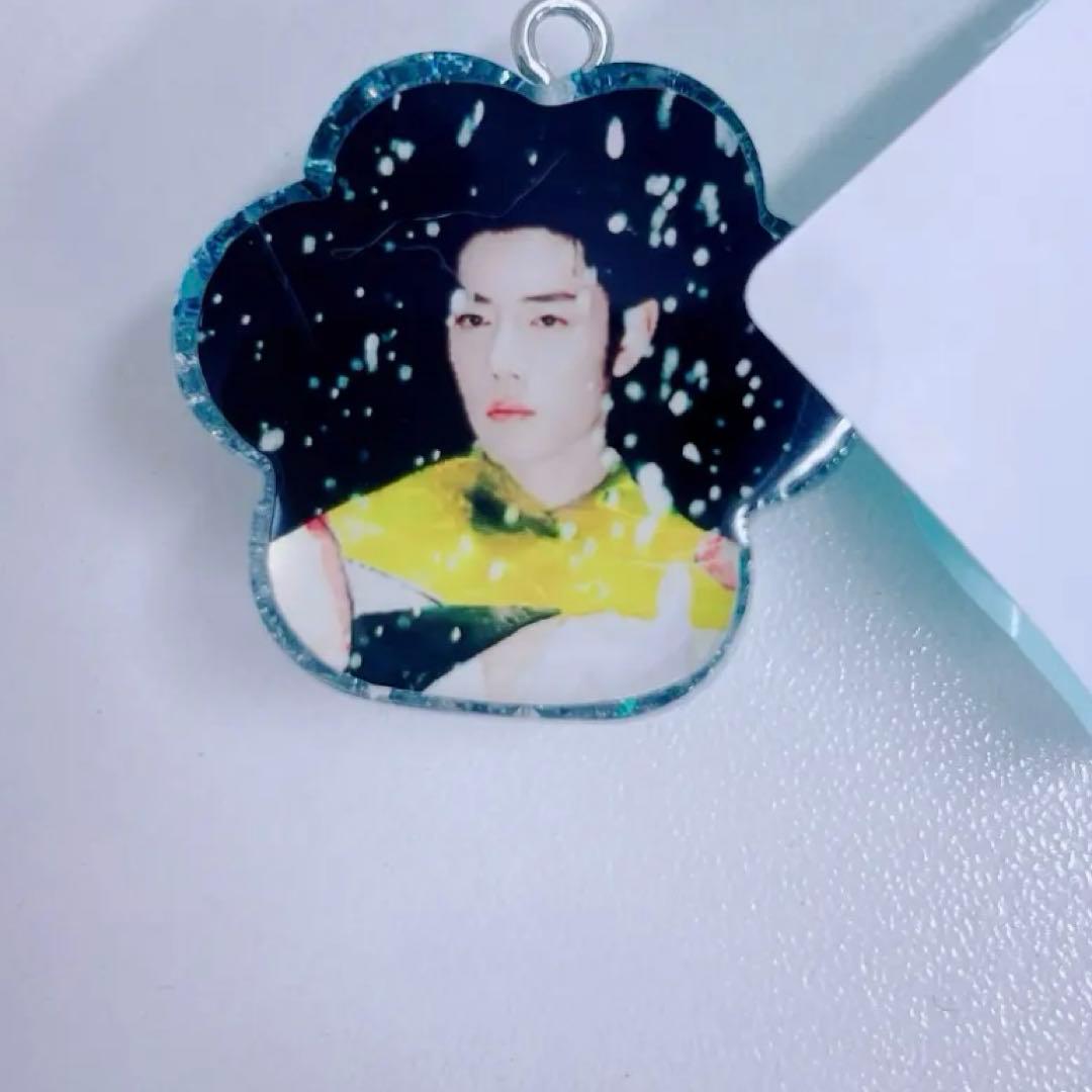 王一博 肖戦 Mサイズ 肉球 レジンキーホルダー32点セット❣️確認用0119