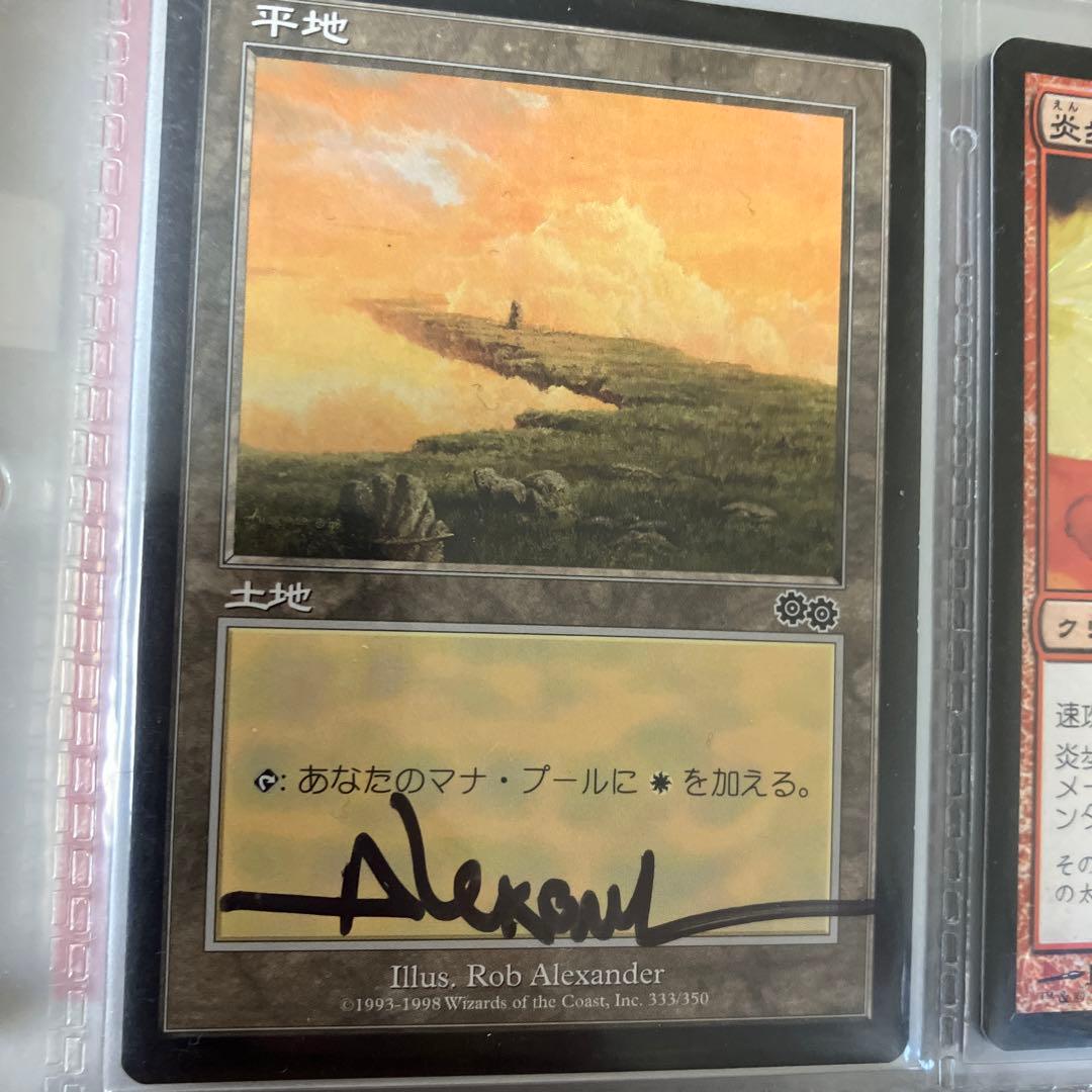 マジックザギャザリング  平地９枚セット